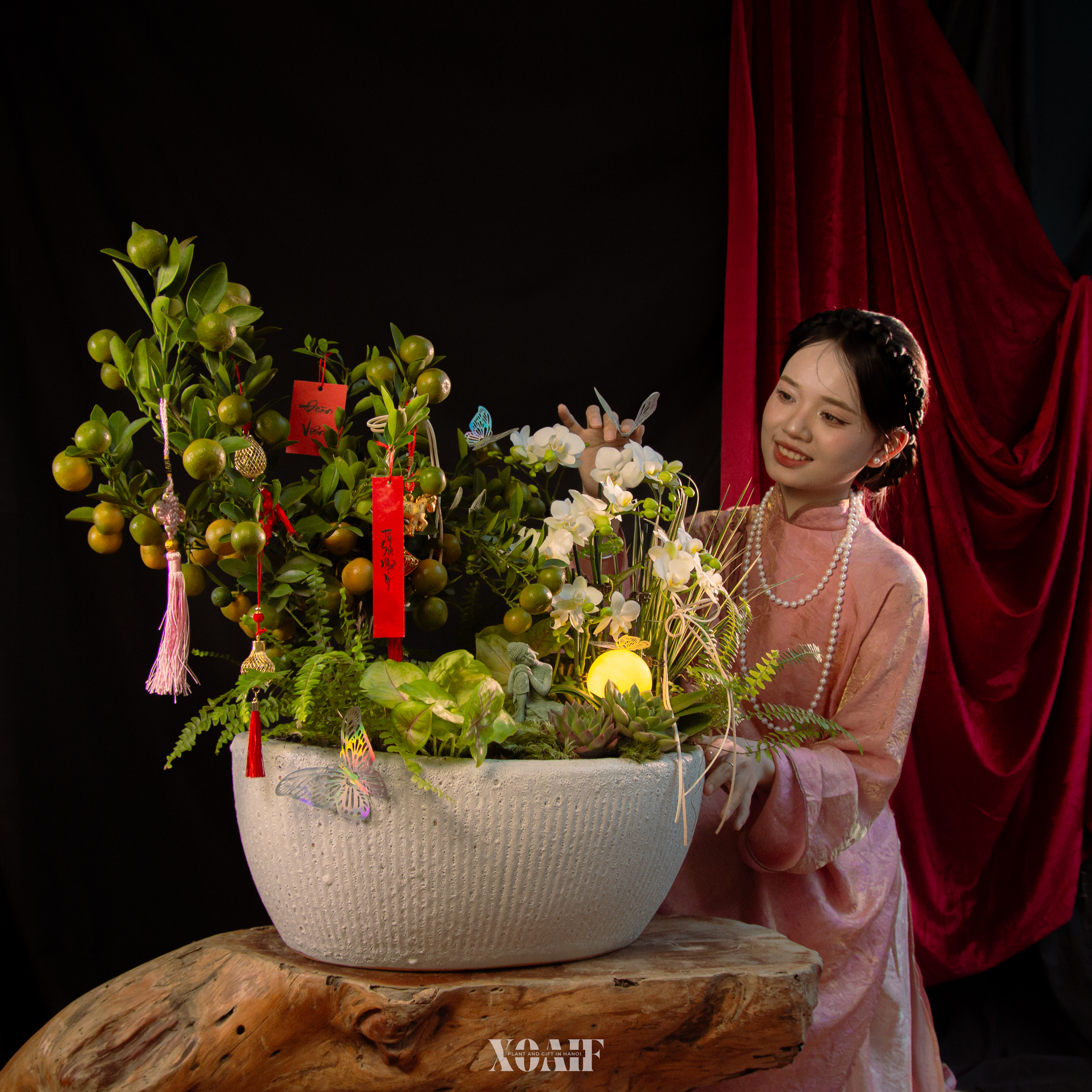 NGUYỆT ANH ĐẦU NIÊN