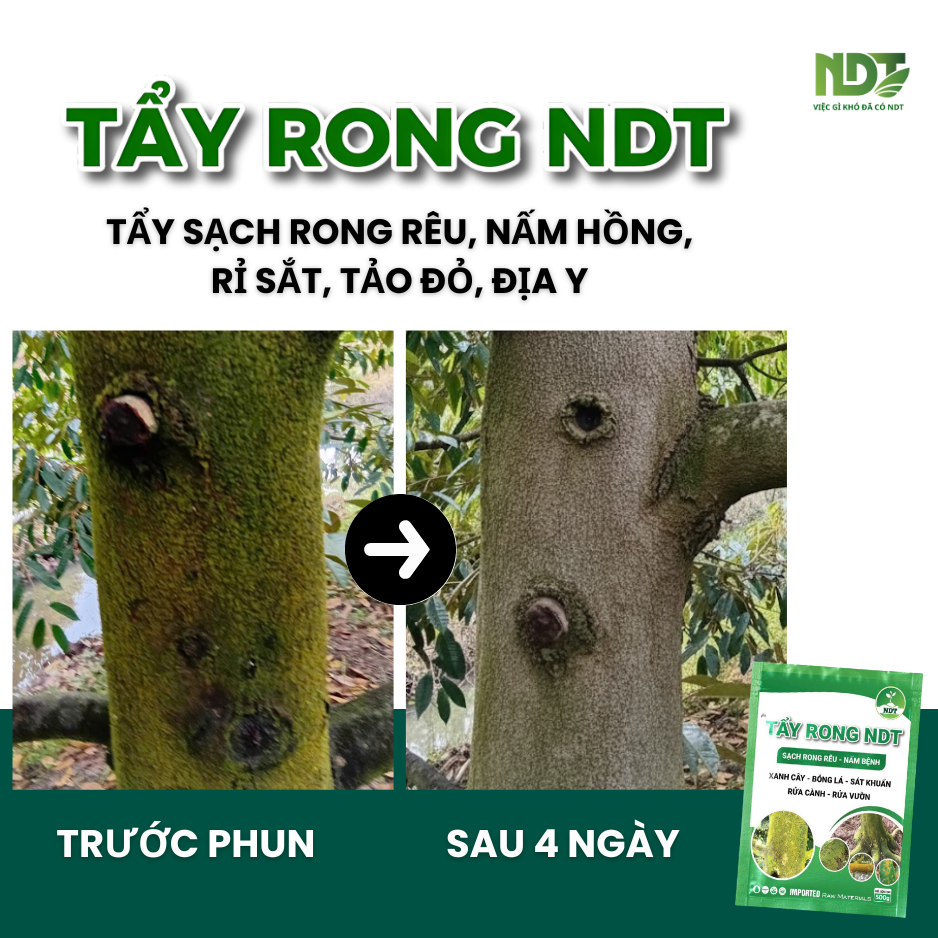 TẨY RONG NDT_thumbnail_3