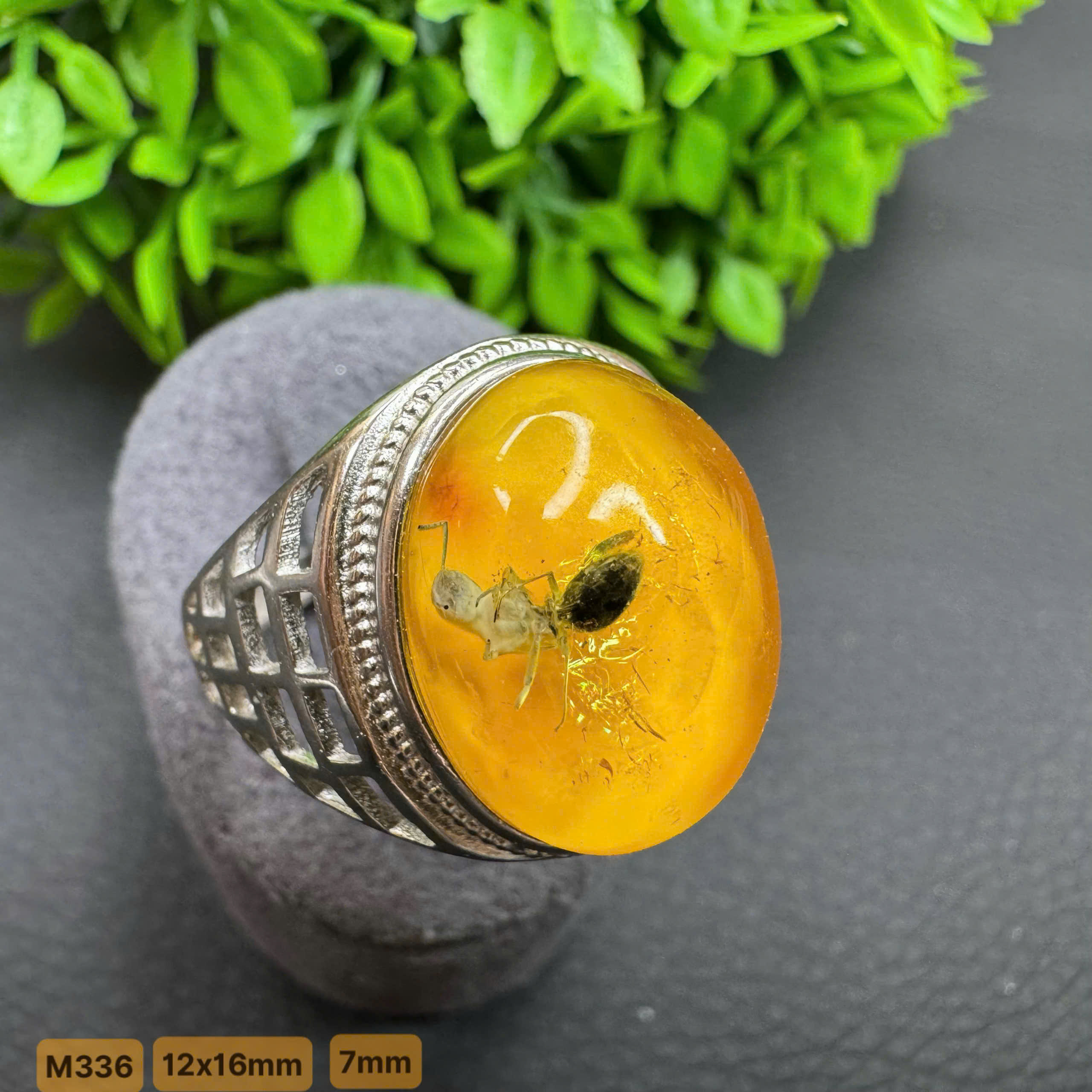 Nhẫn Côn Trùng Nhện Hiếm - M336