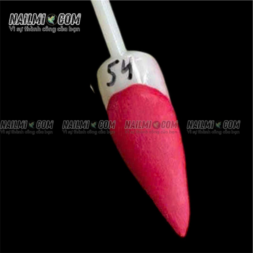 Bột đắp 3in1 - form - ombre - đắp hoa - mã 54