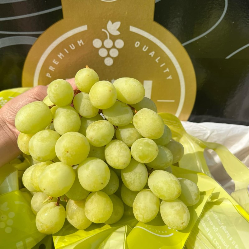 Nho Xanh Úc (RJN)_thumbnail_2