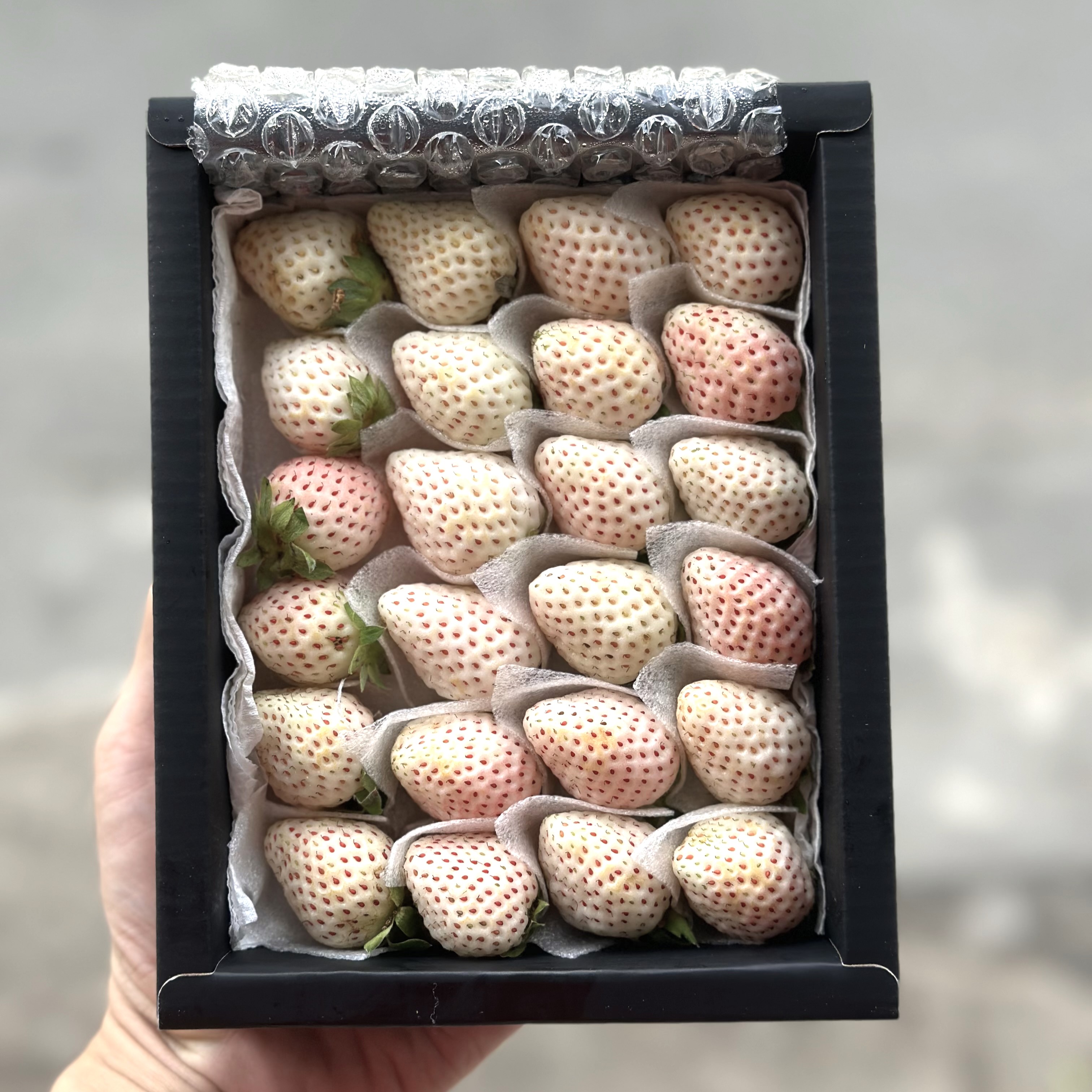 Dâu Bạch Tuyết_thumbnail_0