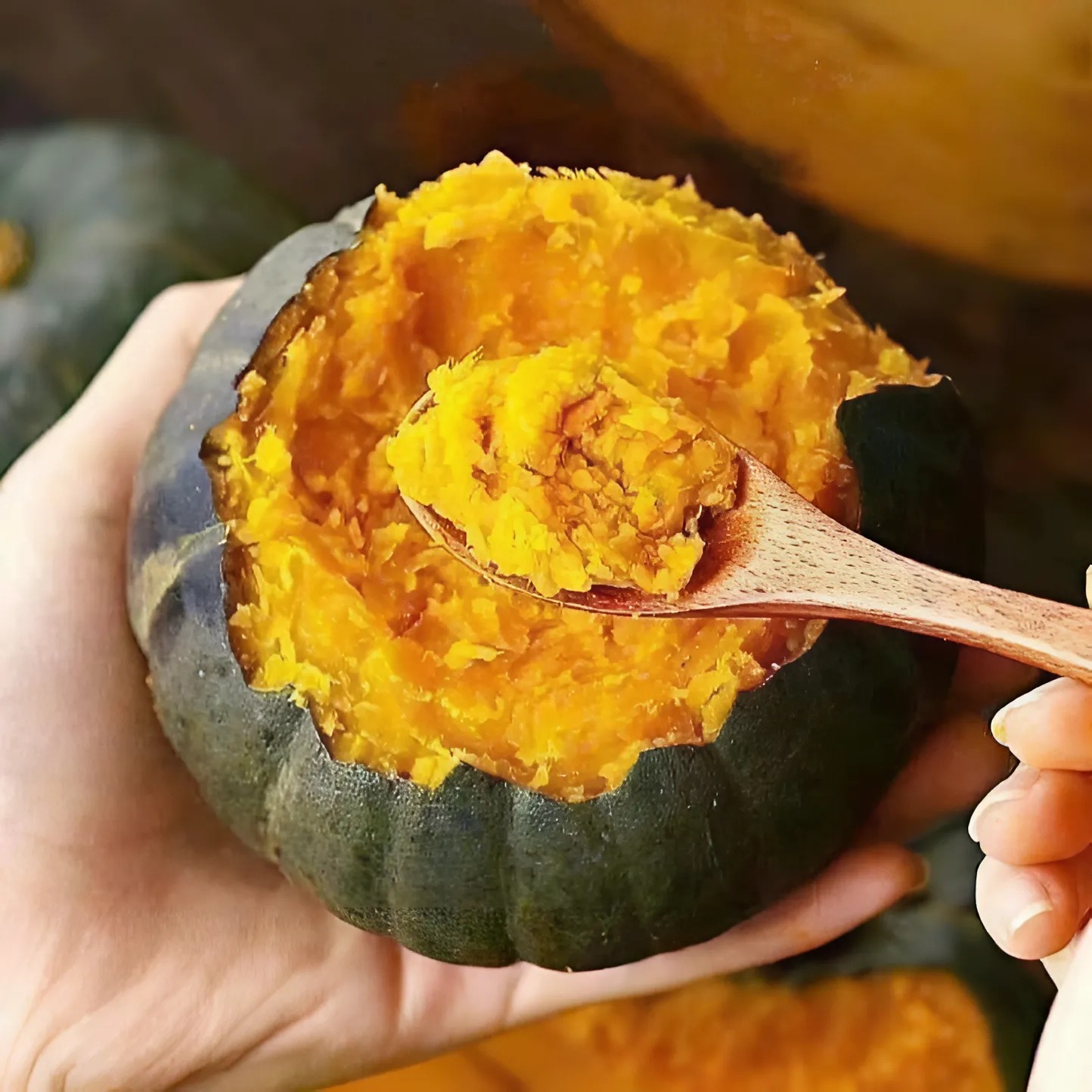 Bí Hạt Dẻ_thumbnail_1