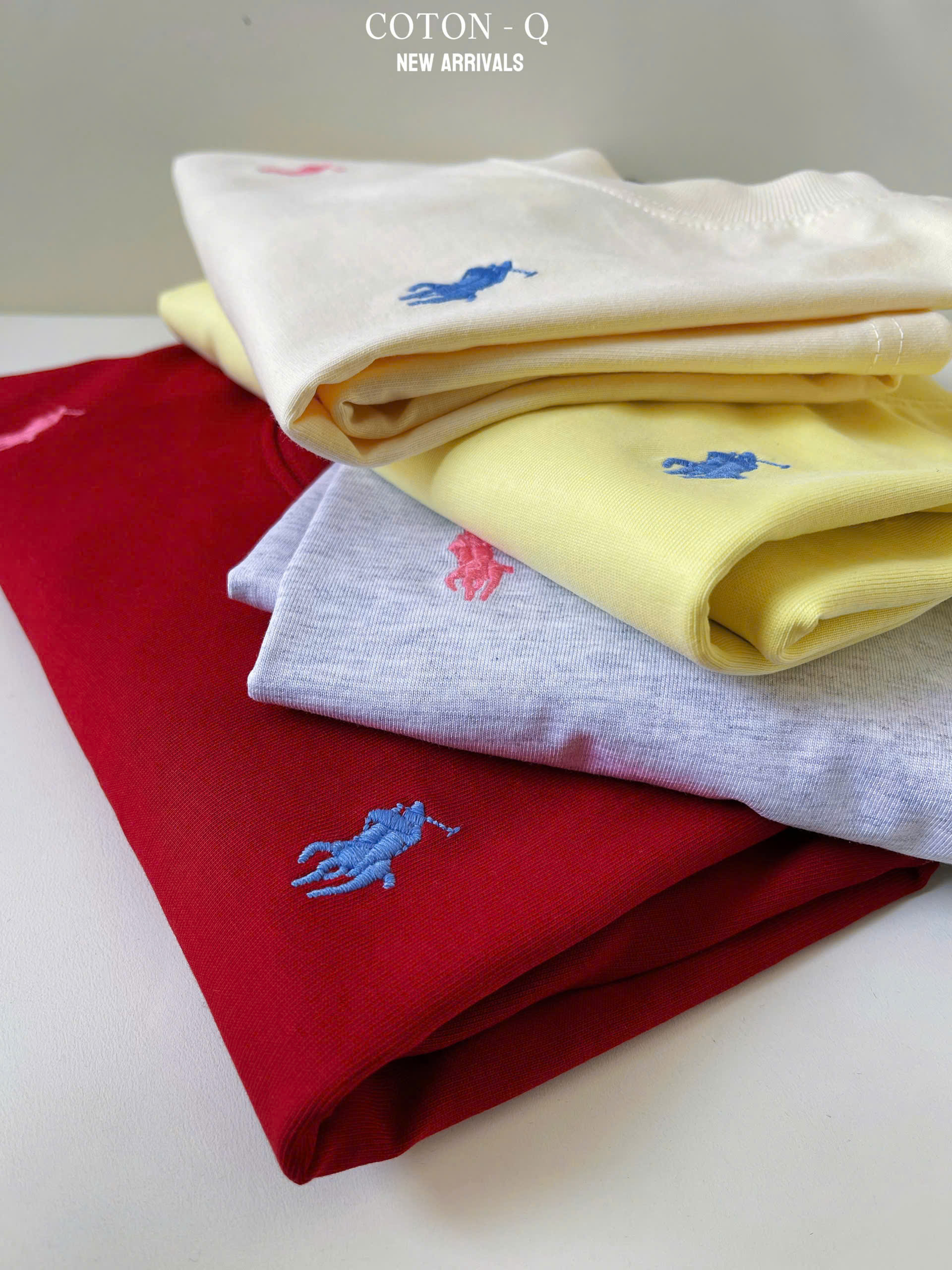 Áo thun thêu ngựa ( NGẪU NHIÊN )_thumbnail_5