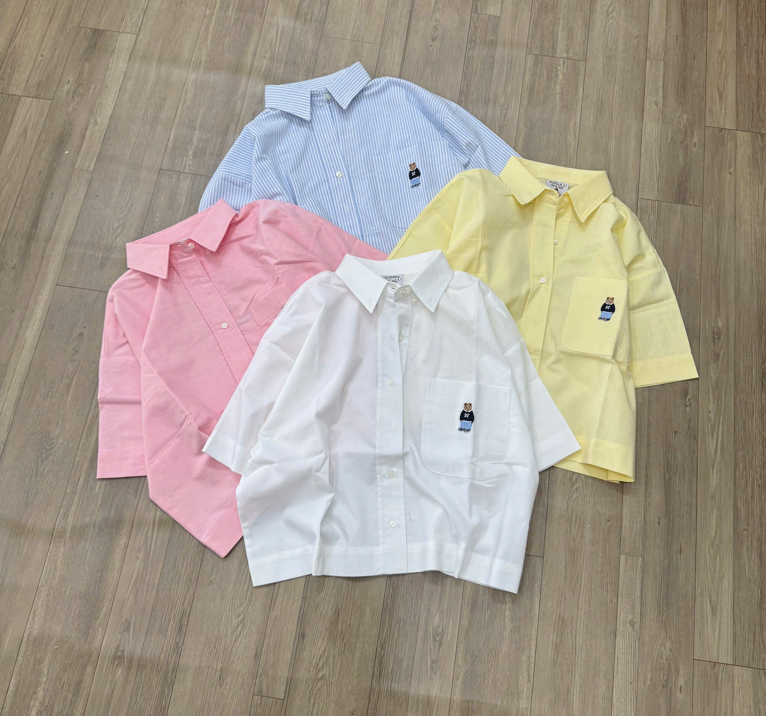 K462 AO NU WHO SOMI (L2-2)