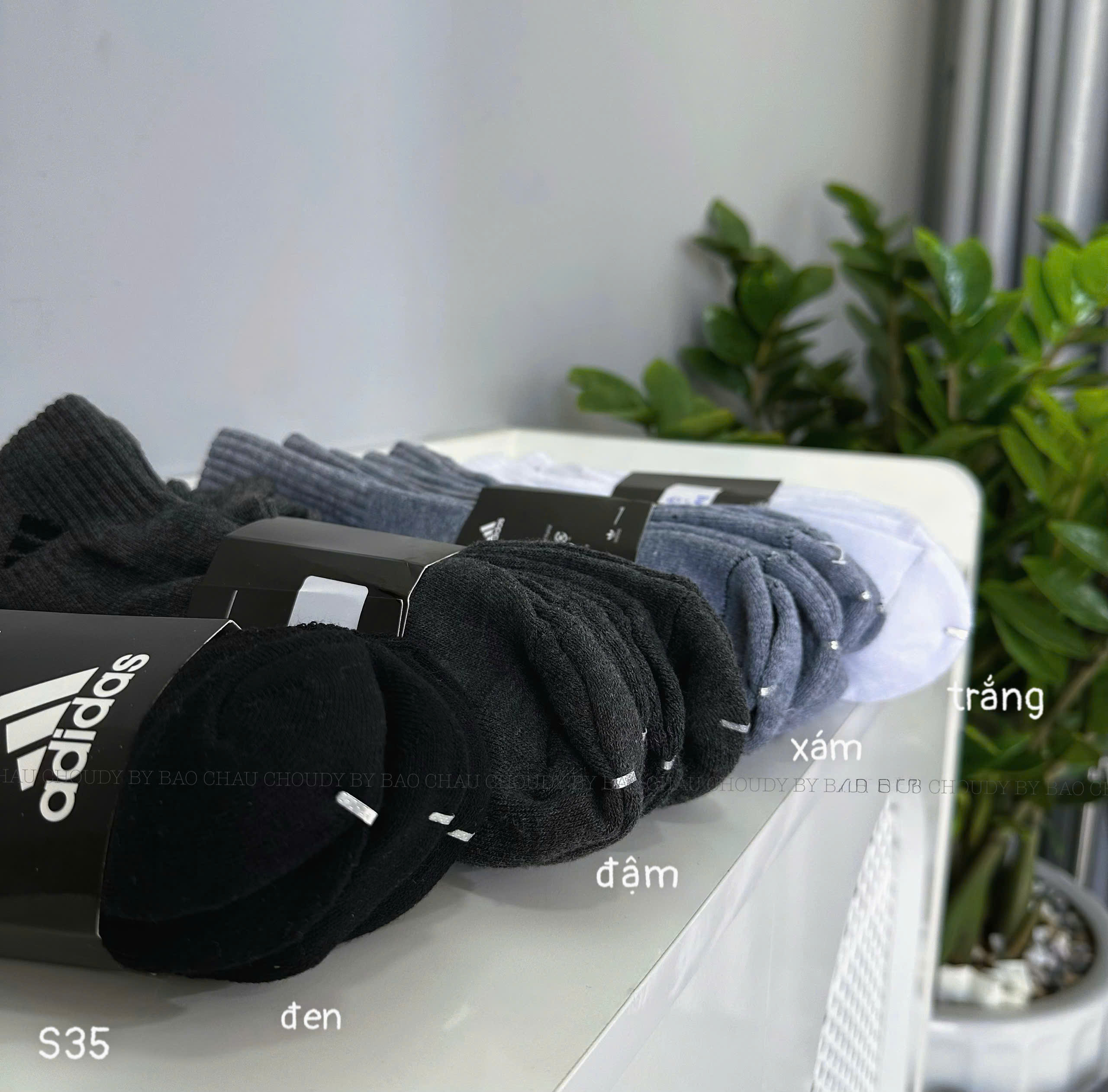 S35 SET 5 ĐÔI VỚ DÀI_thumbnail_1