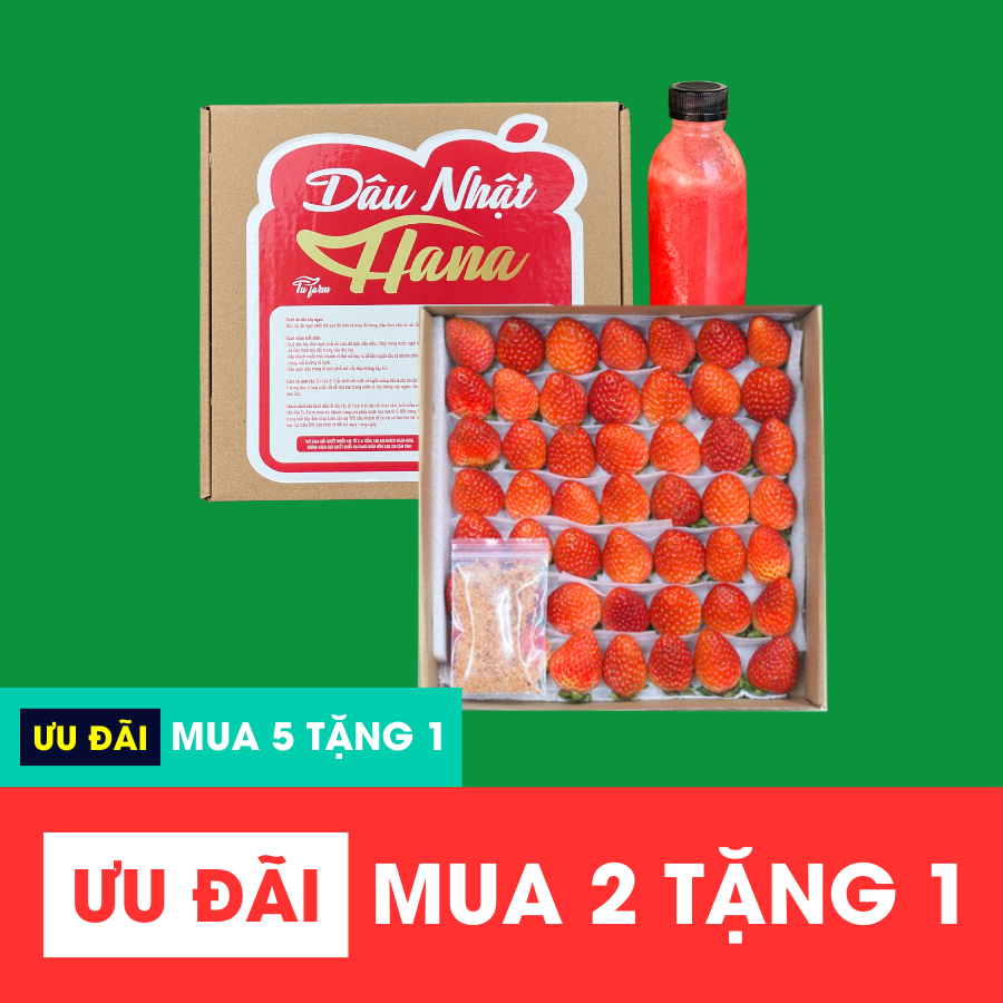 Dâu Nhật Hana_thumbnail_8