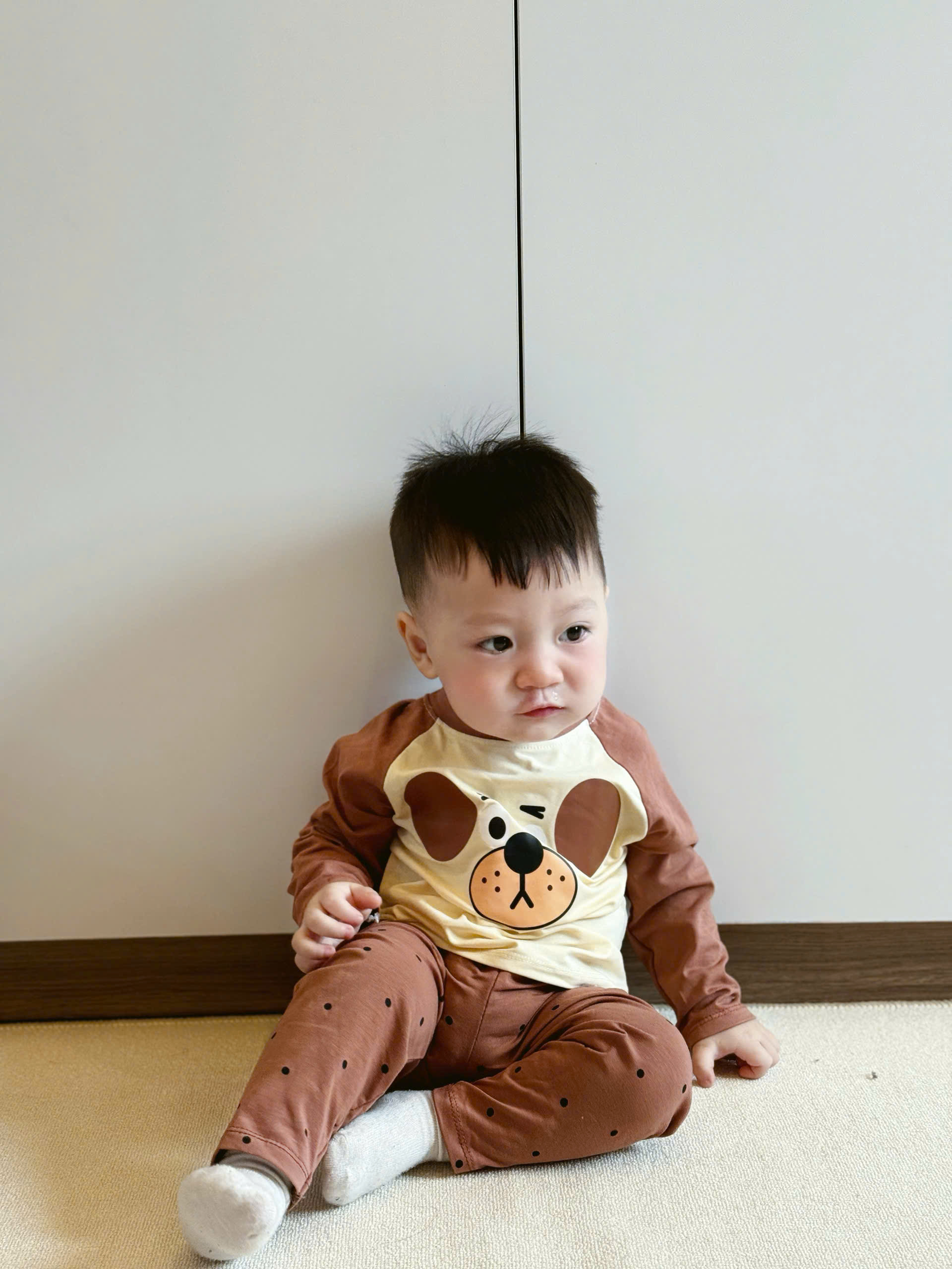 M09 SET 2 BỘ DÀI NÂU XANH PHỐI CHÓ MẶT NHĂN- A100.266