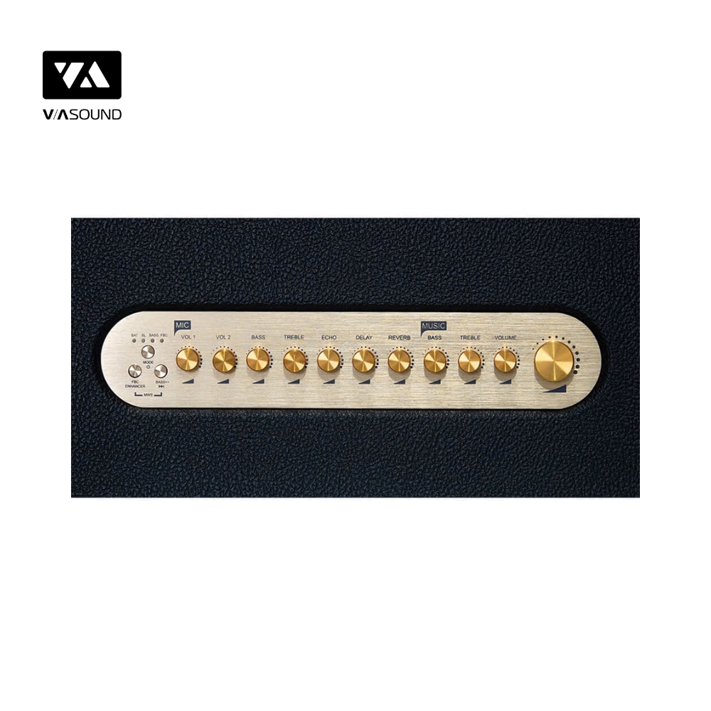 Loa Kéo ACNOS ACOUSTIC 3_thumbnail_6