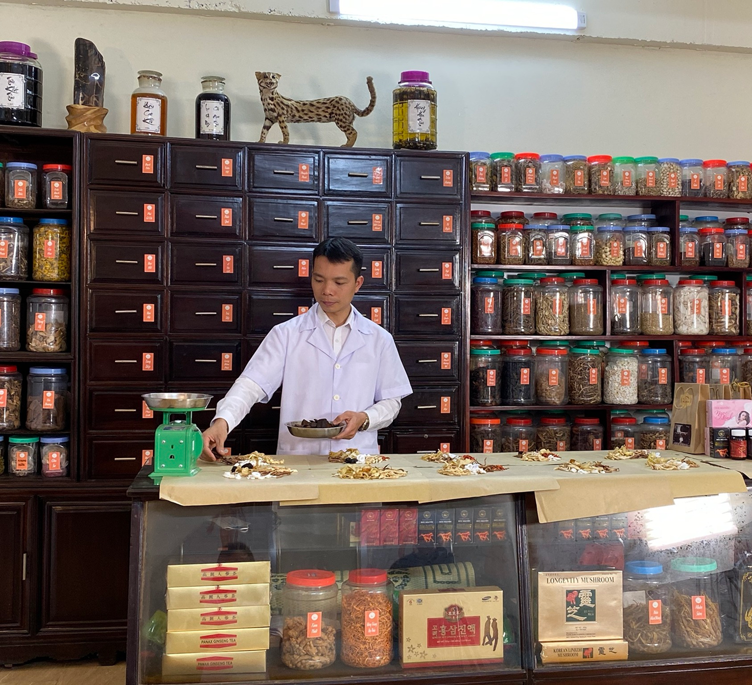 531410926_1513030776336159_3886737893731727423_n 1