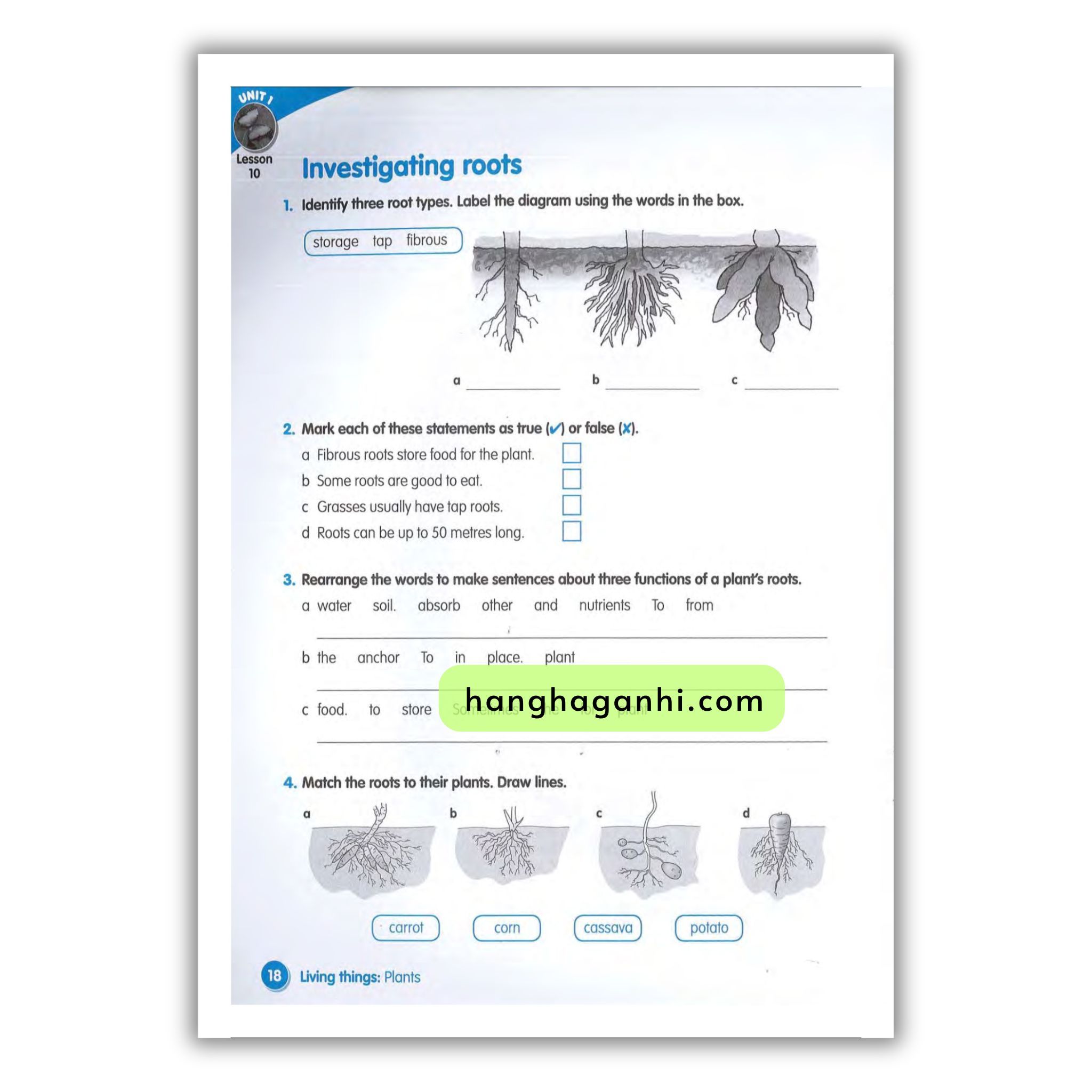 Macmillan Science 4 Workbook_thumbnail_11