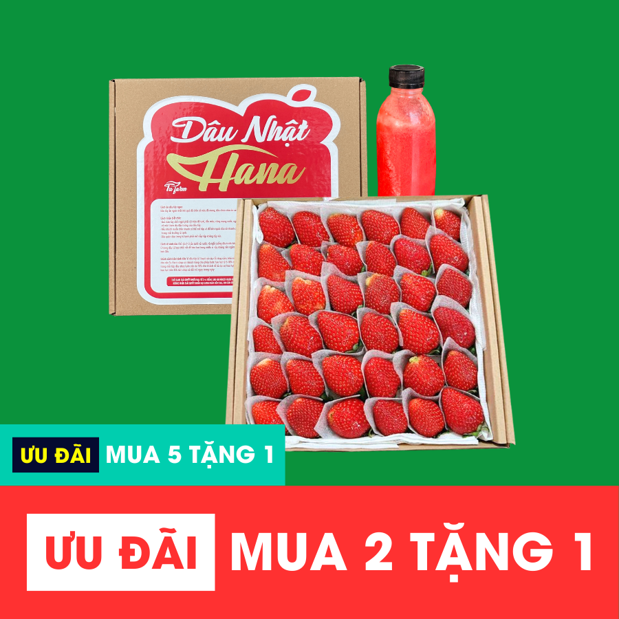 Dâu Nhật Hana_thumbnail_9