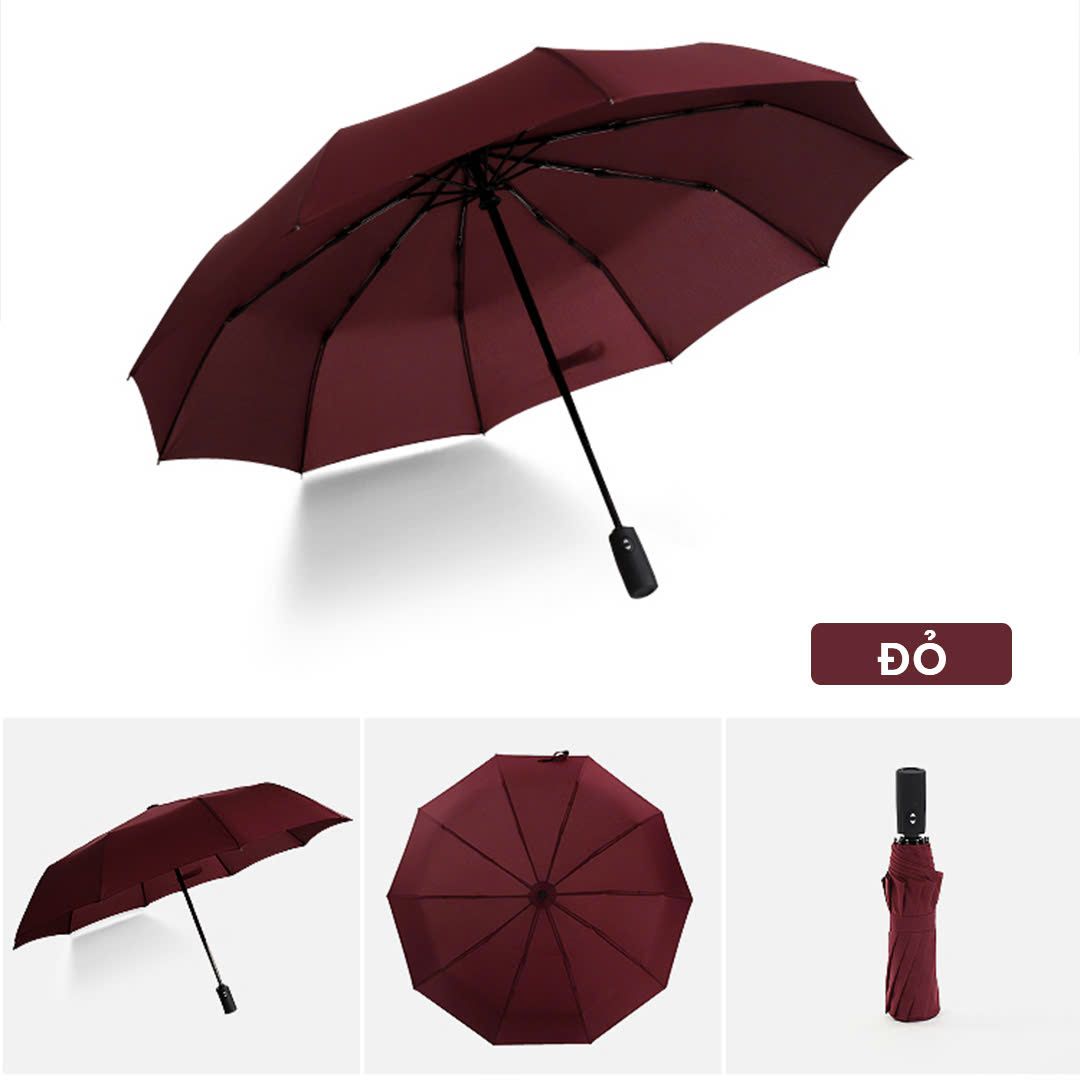 Dù Tự Động 10 Nan_thumbnail_3