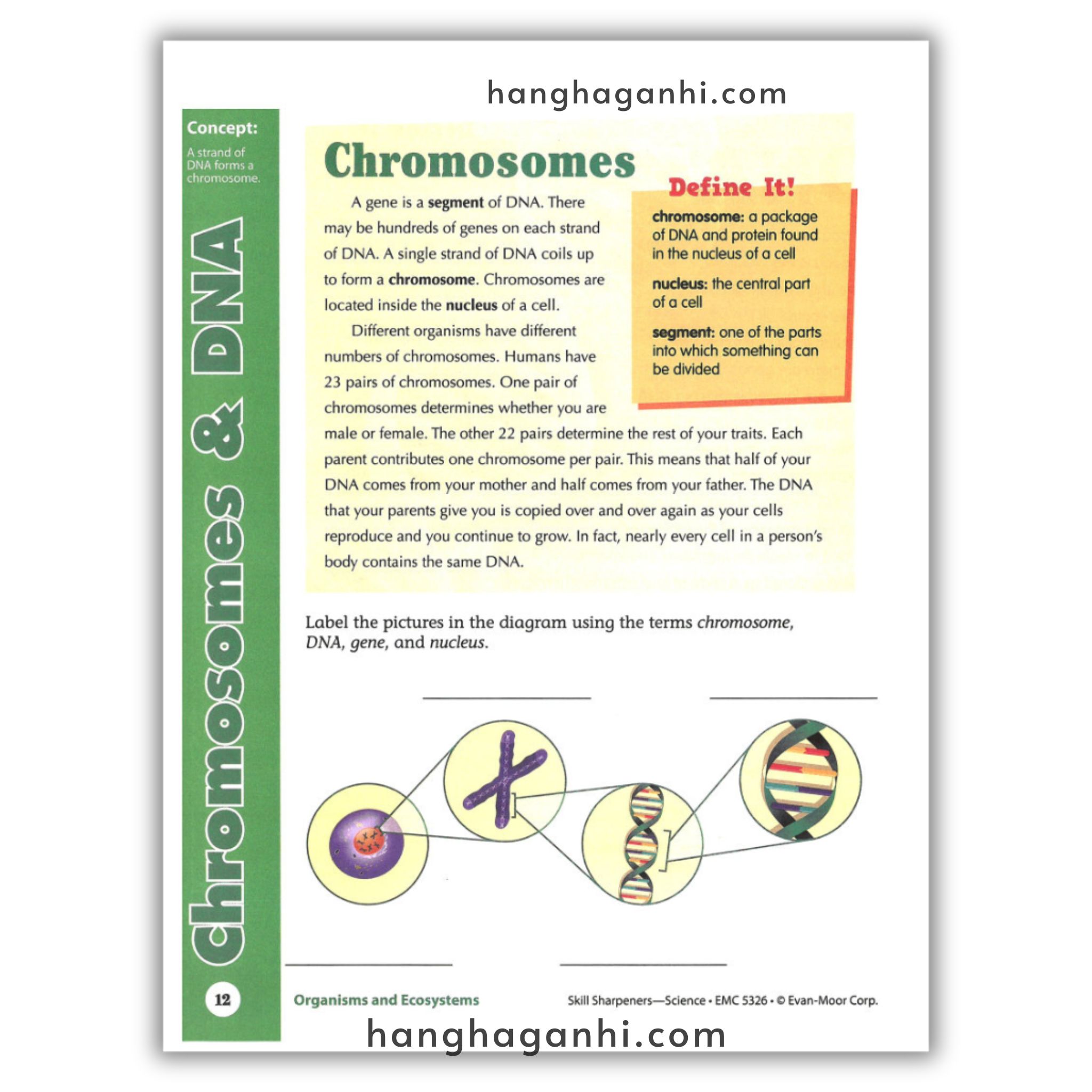 Skill Sharpeners Science Grade 6_thumbnail_9