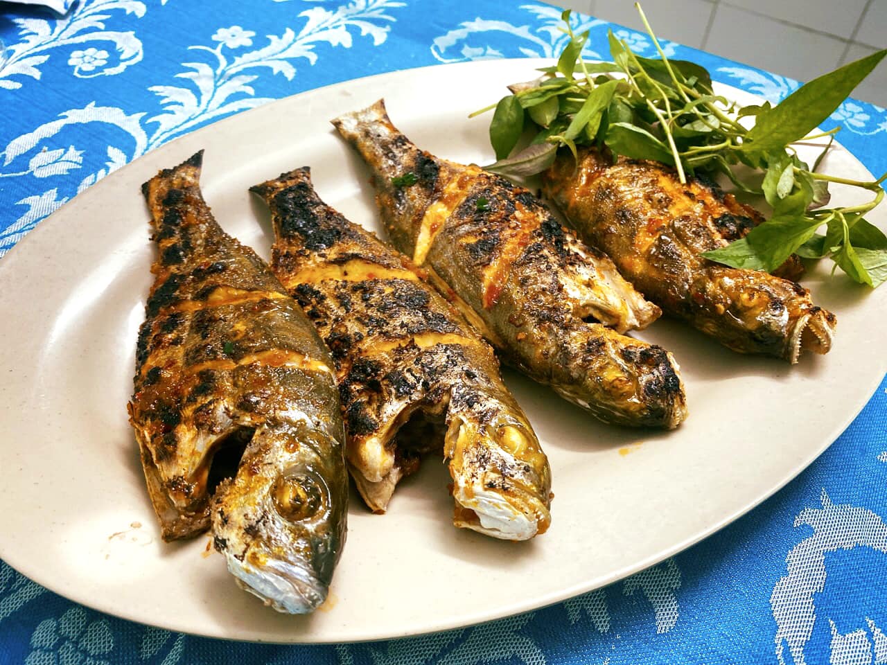 Cá ong bầu Đặc sản Đầm phá Huế - Nuôi trồng Đạt chuẩn Hữu cơ_thumbnail_4