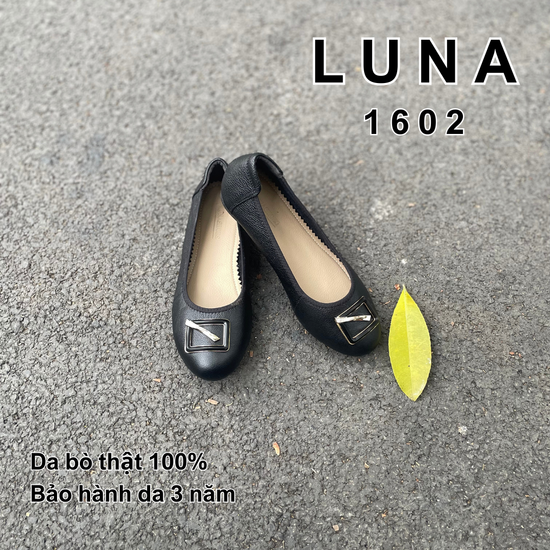 Luna 1602