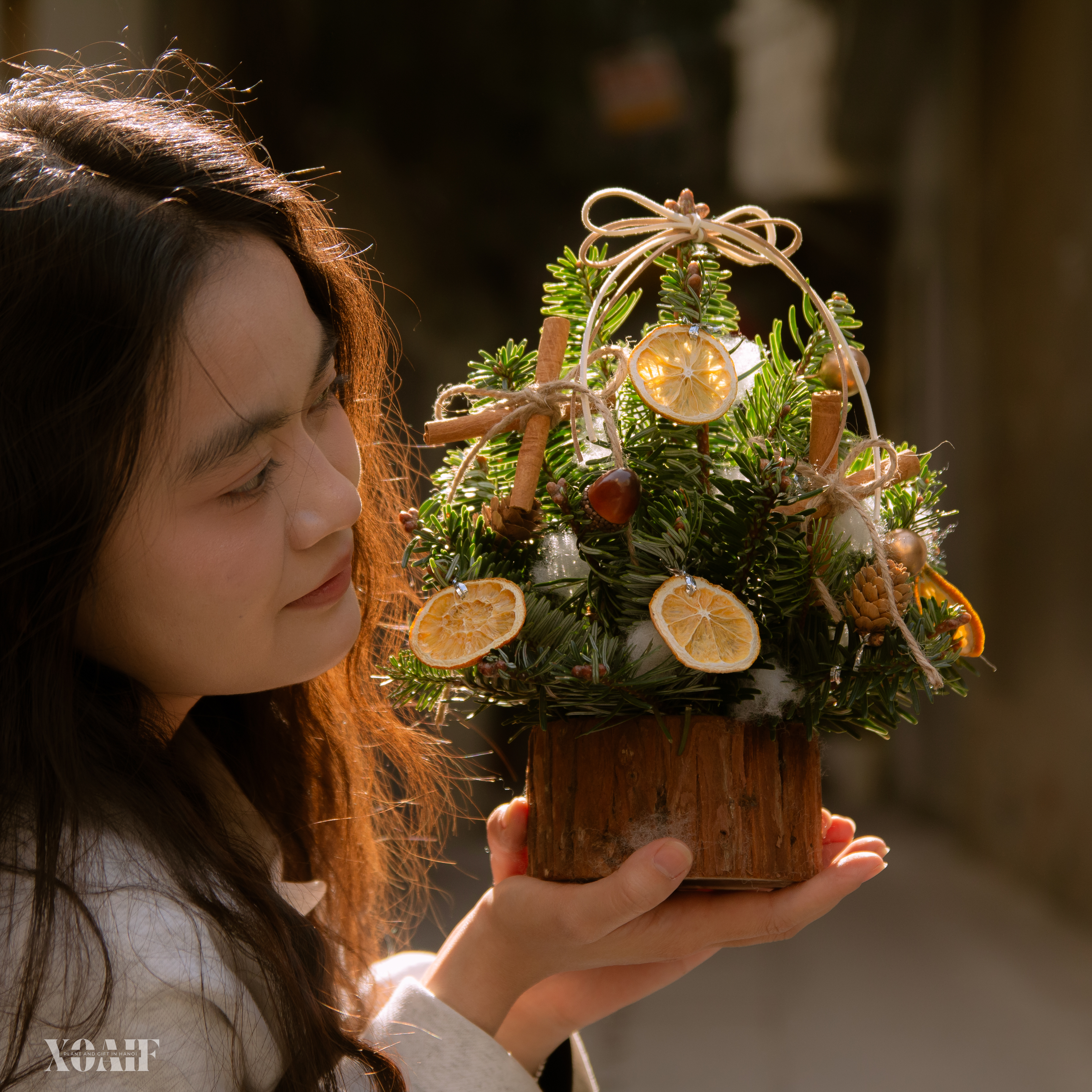 SET THÔNG TƯƠI_thumbnail_5