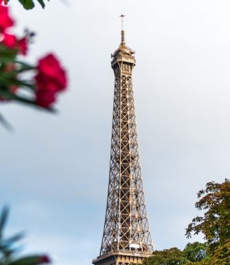 05-right-image-banner-qq9b5giy41l8vahck4vgp9jjwi1dhisq7c2w9mj6bu