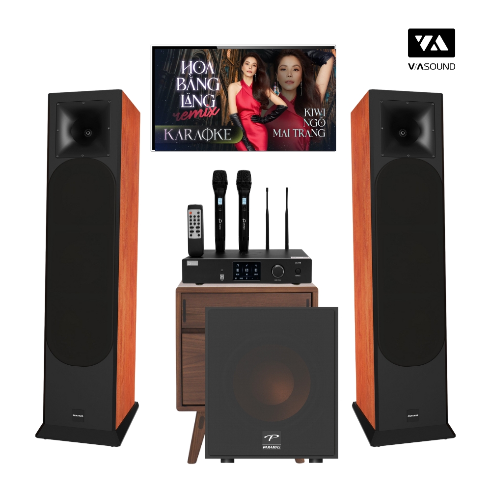 COMBO KARAOKE PARAMAX EURO 803 LIMITED - PD1