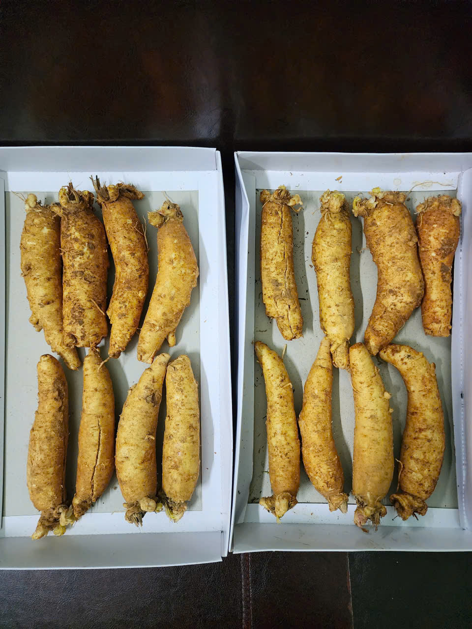 Sâm trọc 20-30 củ 1kg