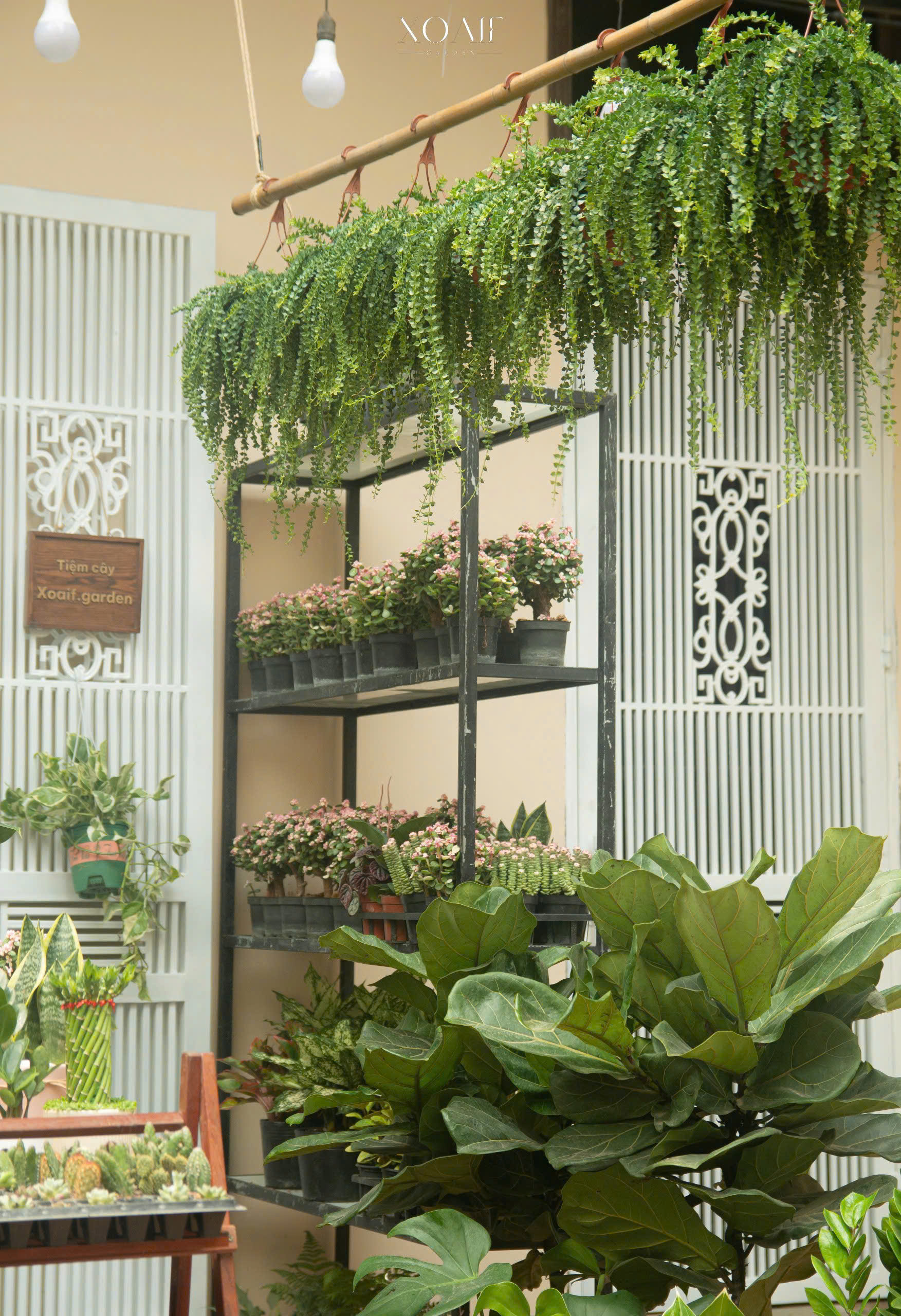 z6503261654249_32e7f1c157b9f35bc7848d6473825101