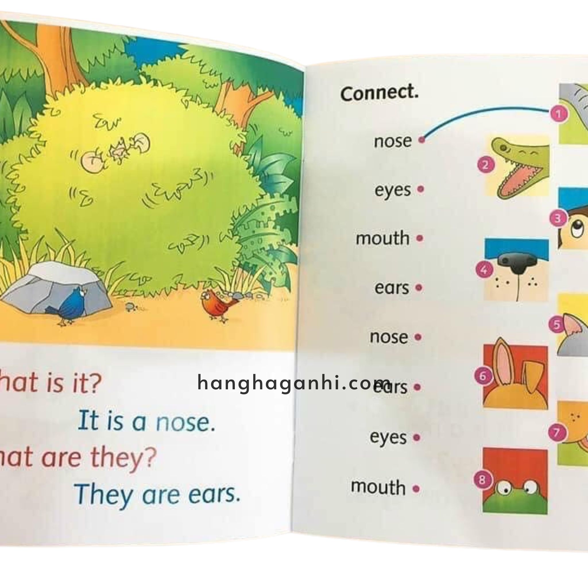 Bộ 39 cuốn Dolphin Readers_thumbnail_6