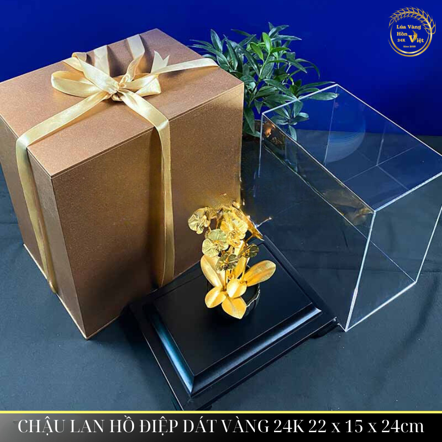 CHẬU LAN HỒ ĐIỆP DÁT VÀNG 24K 22x15x24cm_thumbnail_7