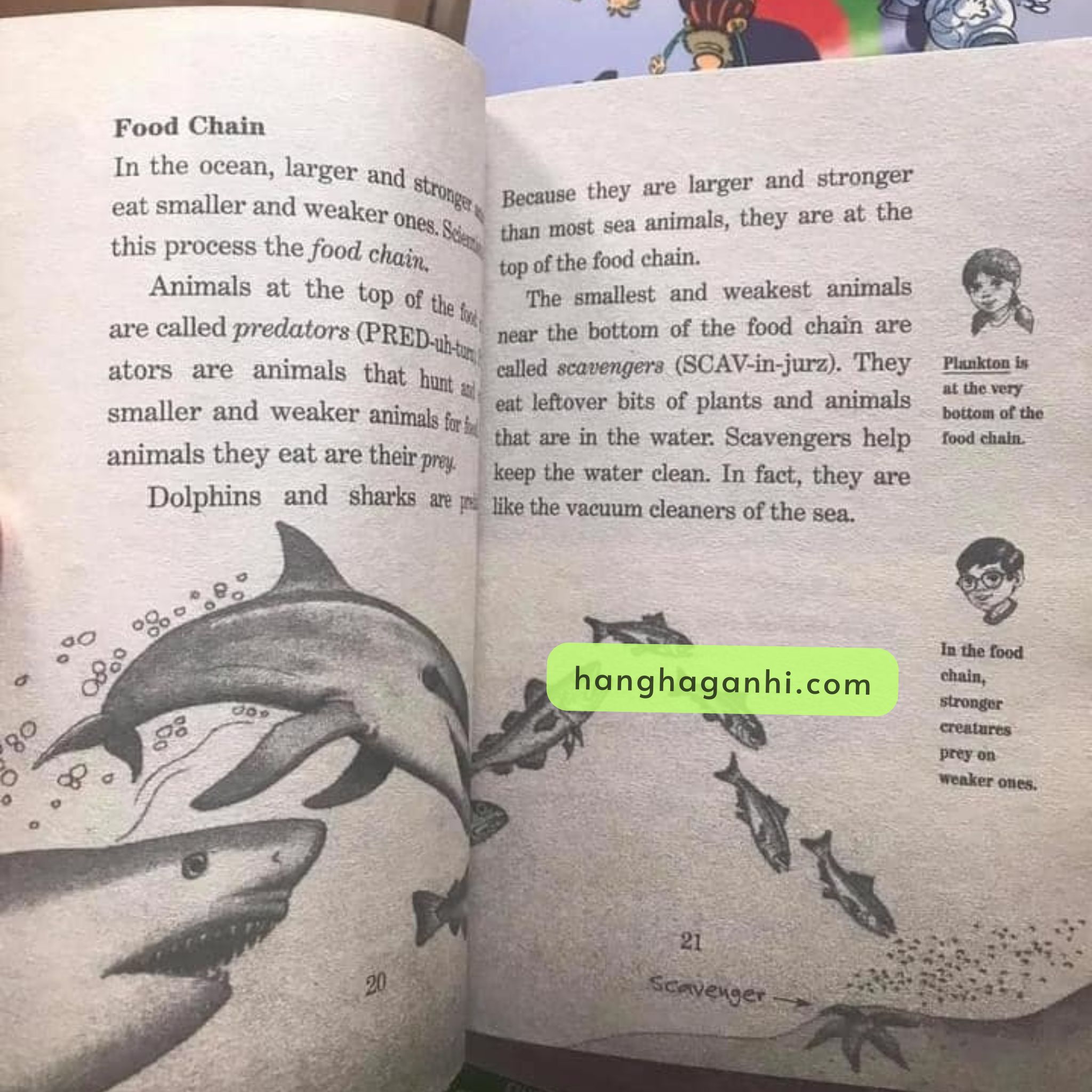 MAGIC TREE HOUSE PHẦN 3 gồm 44 quyển mới nhất (có 40/44 file nghe)_thumbnail_3