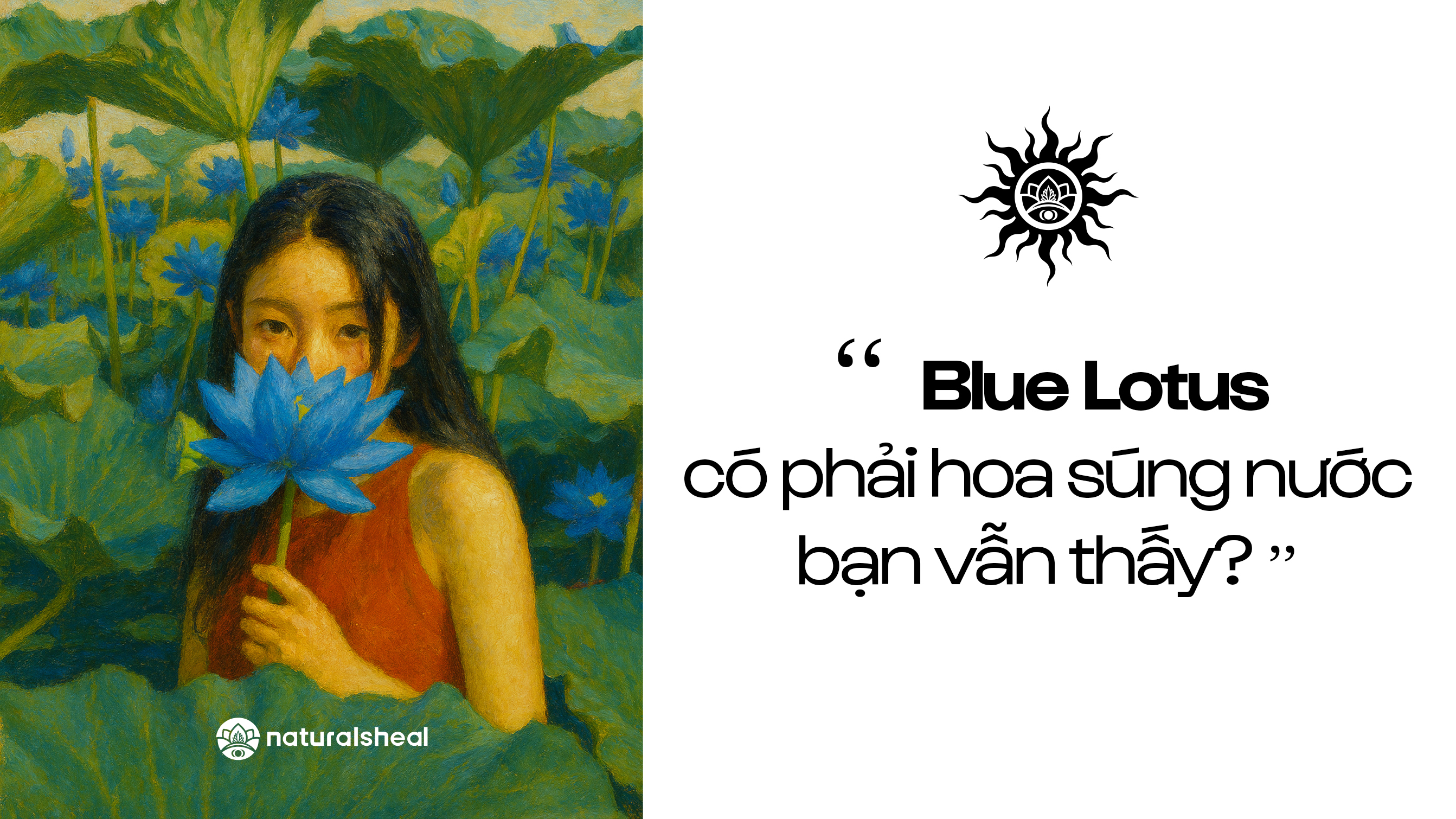 Blue Lotus – Từ Biểu Tượng Tâm Linh đến Khoa Học Thần Kinh