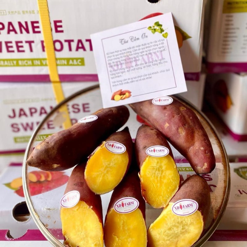 Khoai Lang Nhật Xuất Khẩu_thumbnail_1