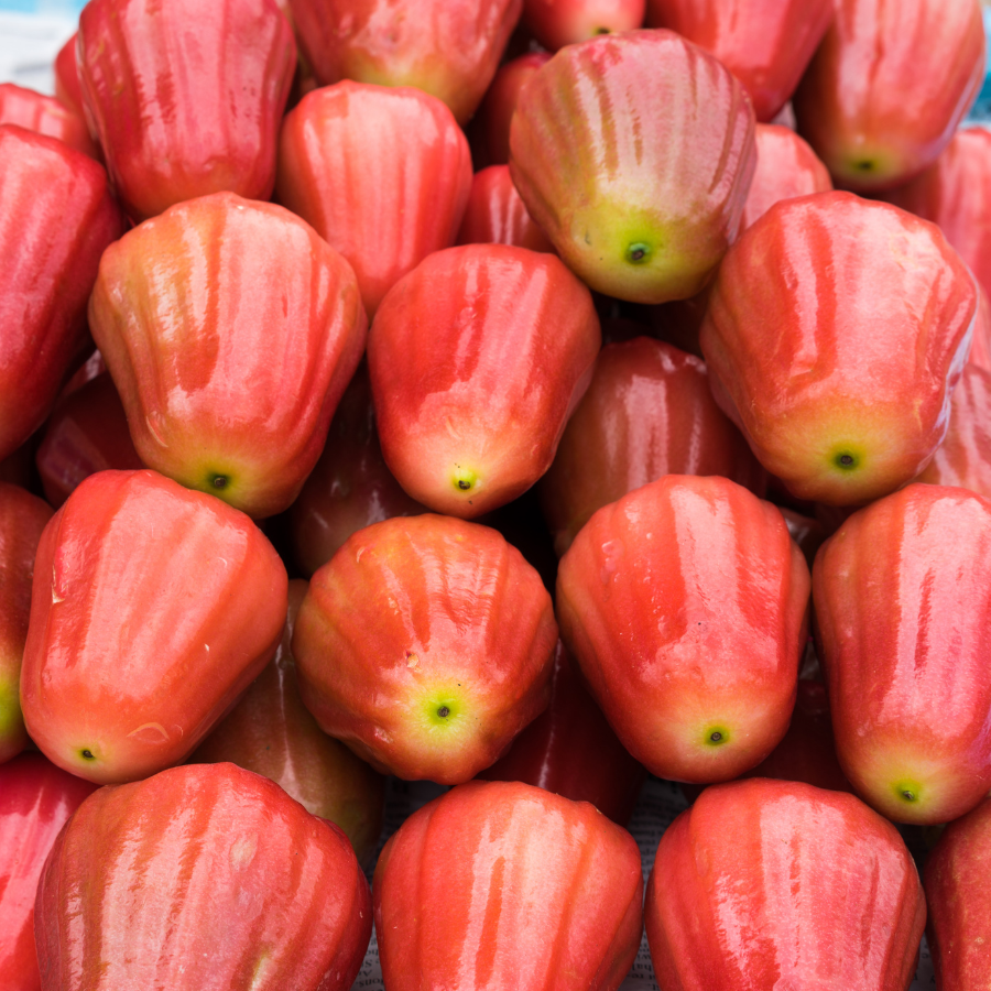 Mận an phước_thumbnail_2