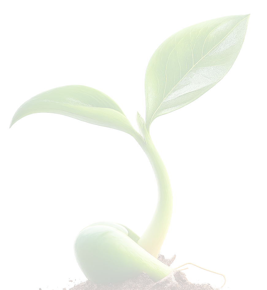 ChatGPT Image 21_45_41 12 thg 3, 2026(1)