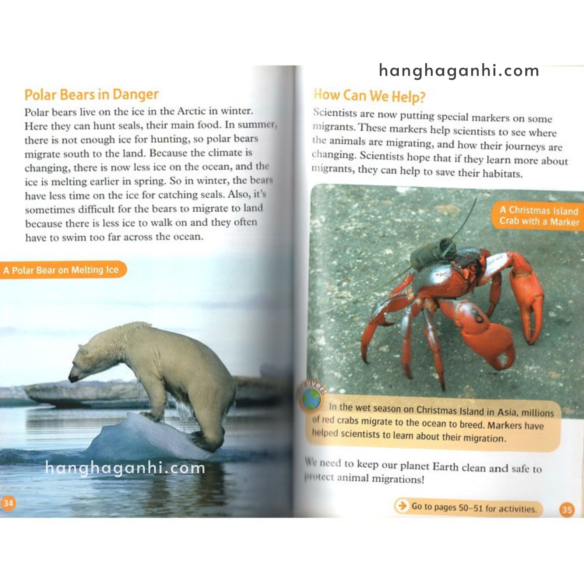 Bộ 14 Cuốn Oxford Read and Discover-Read and Imagine Level 5 – Sách Nhập nguyên seal kèm file nghe_thumbnail_1