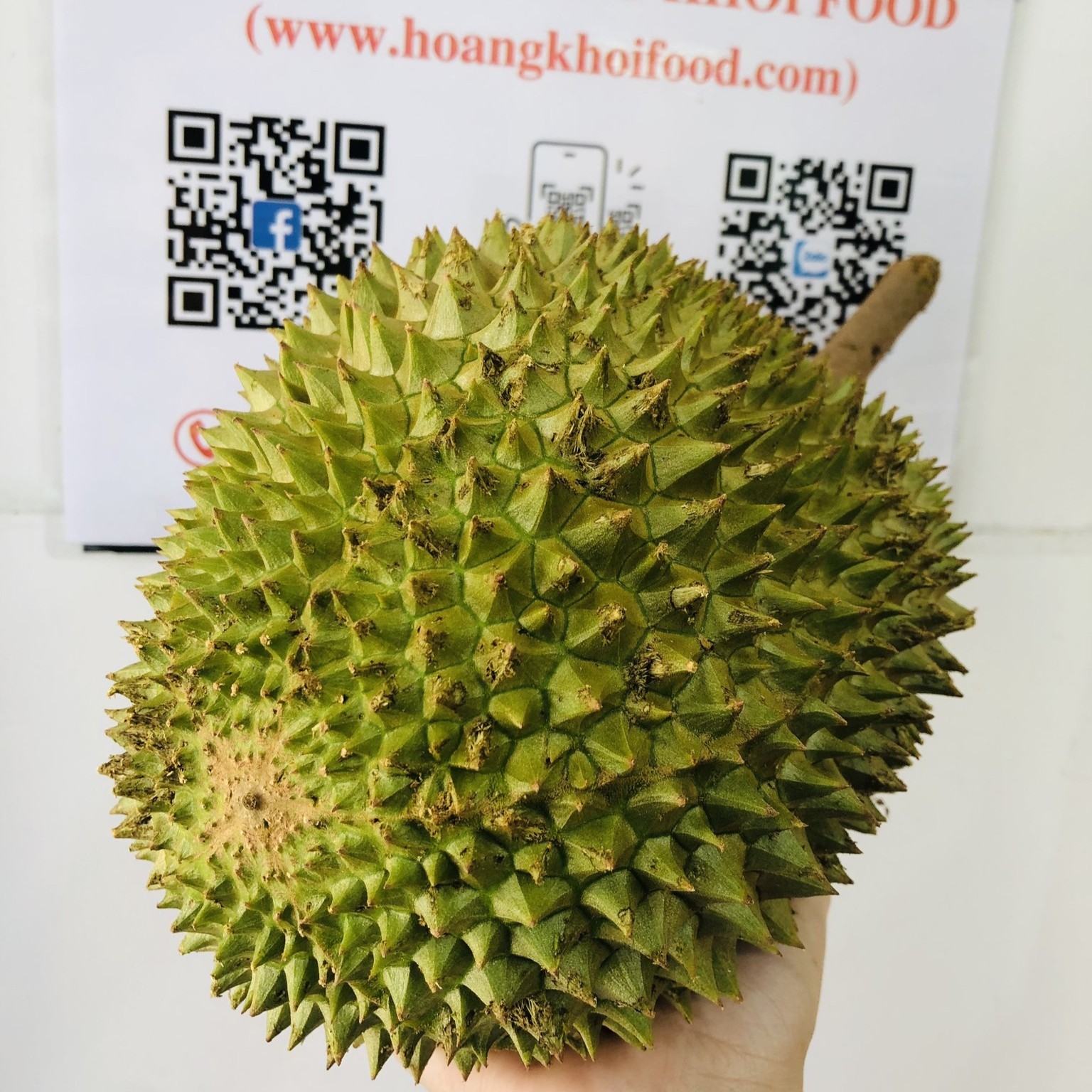 Sầu Riêng MusangKing_thumbnail_2