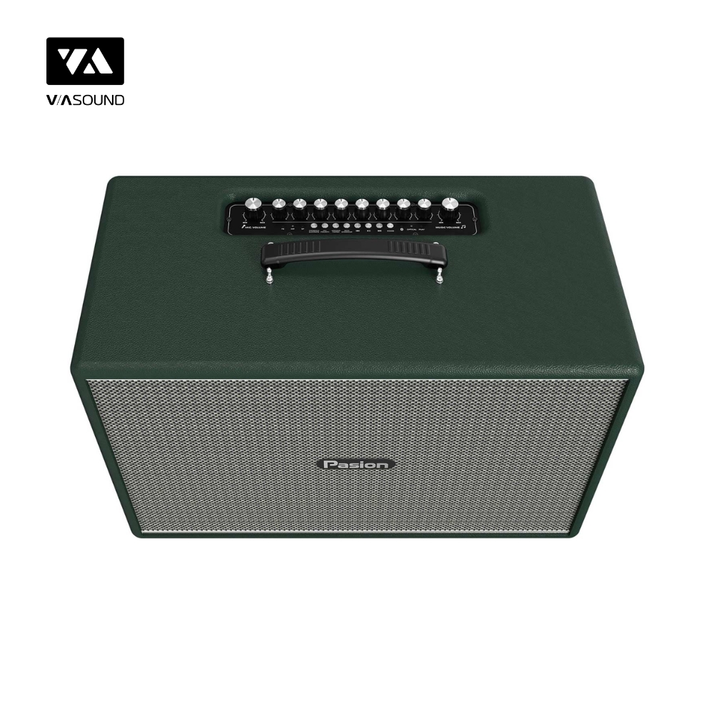 Loa Xách Tay PARAMAX PASION MOZO_thumbnail_6