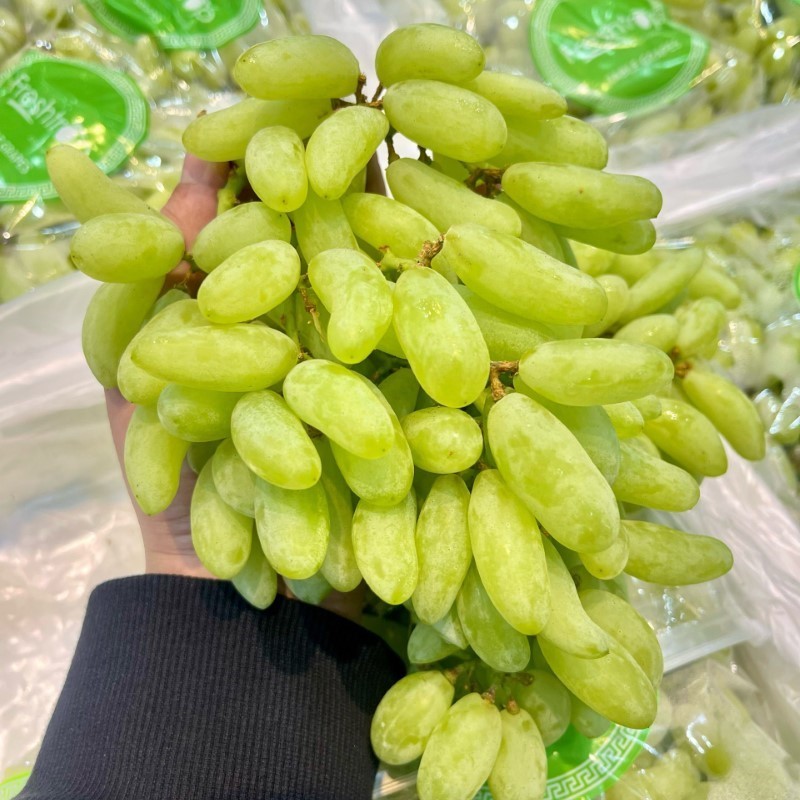 Nho Xanh Ấn Độ (Fresh Trop)