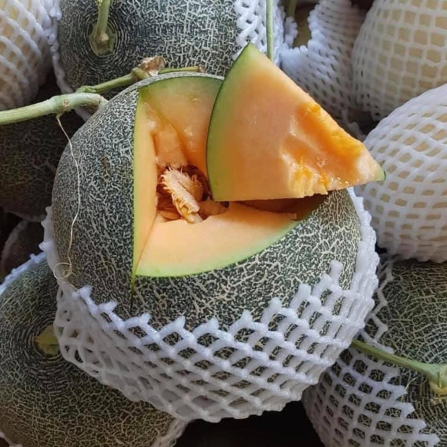 Dưa lưới TL3_thumbnail_6