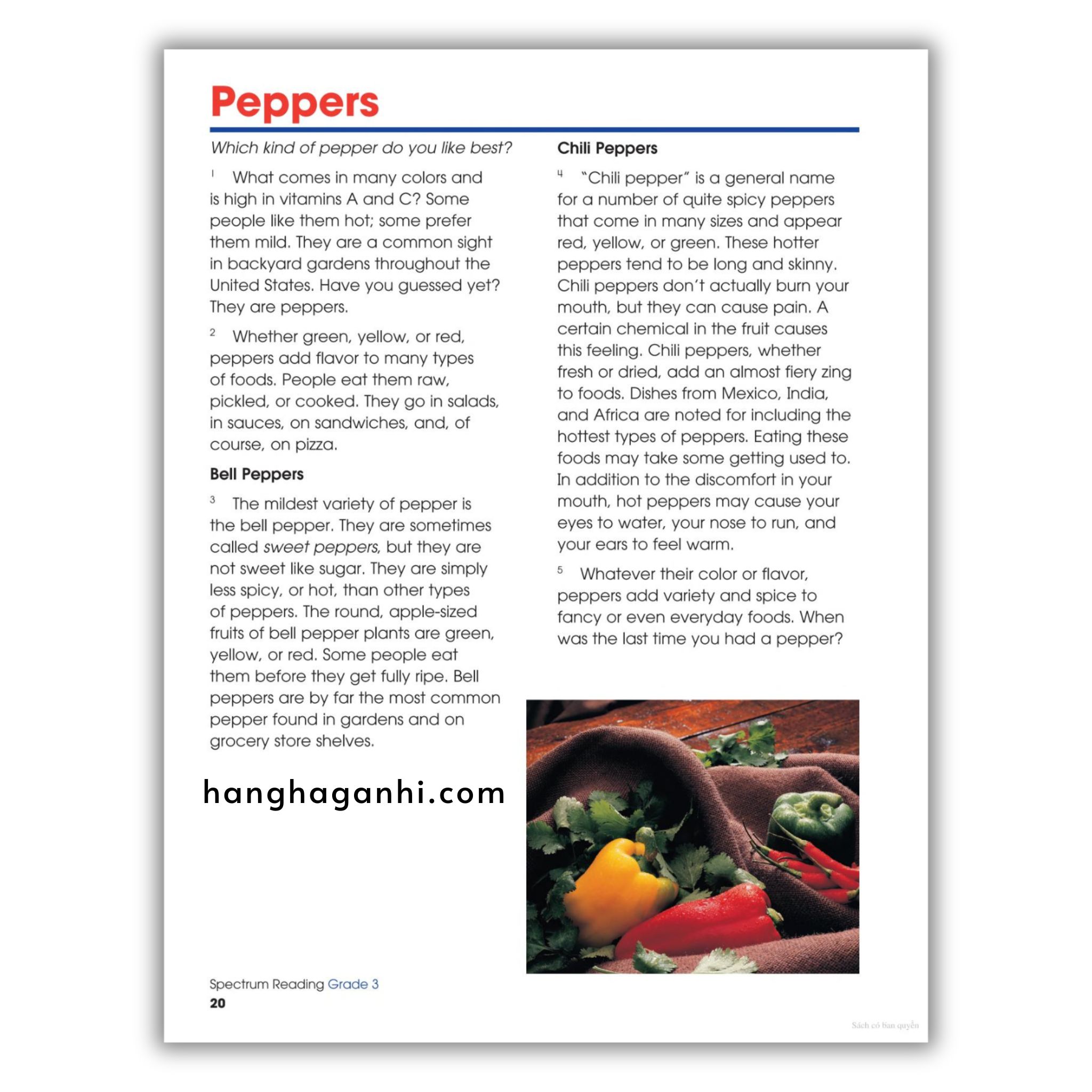 Sách Spectrum Reading Workbook Grade 3_thumbnail_15