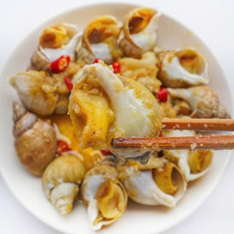 Ốc Bulot Ireland Anh