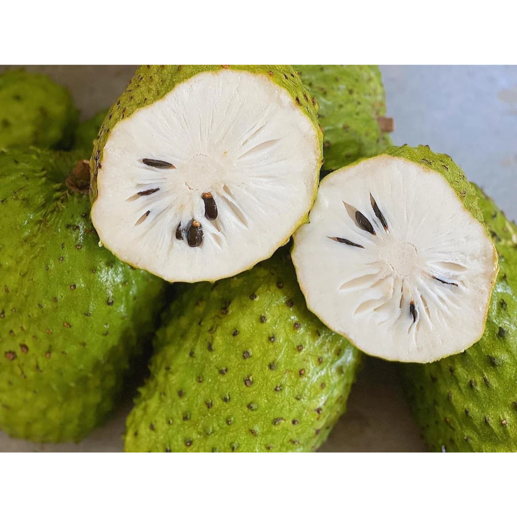 Mãng Cầu Xiêm_thumbnail_4