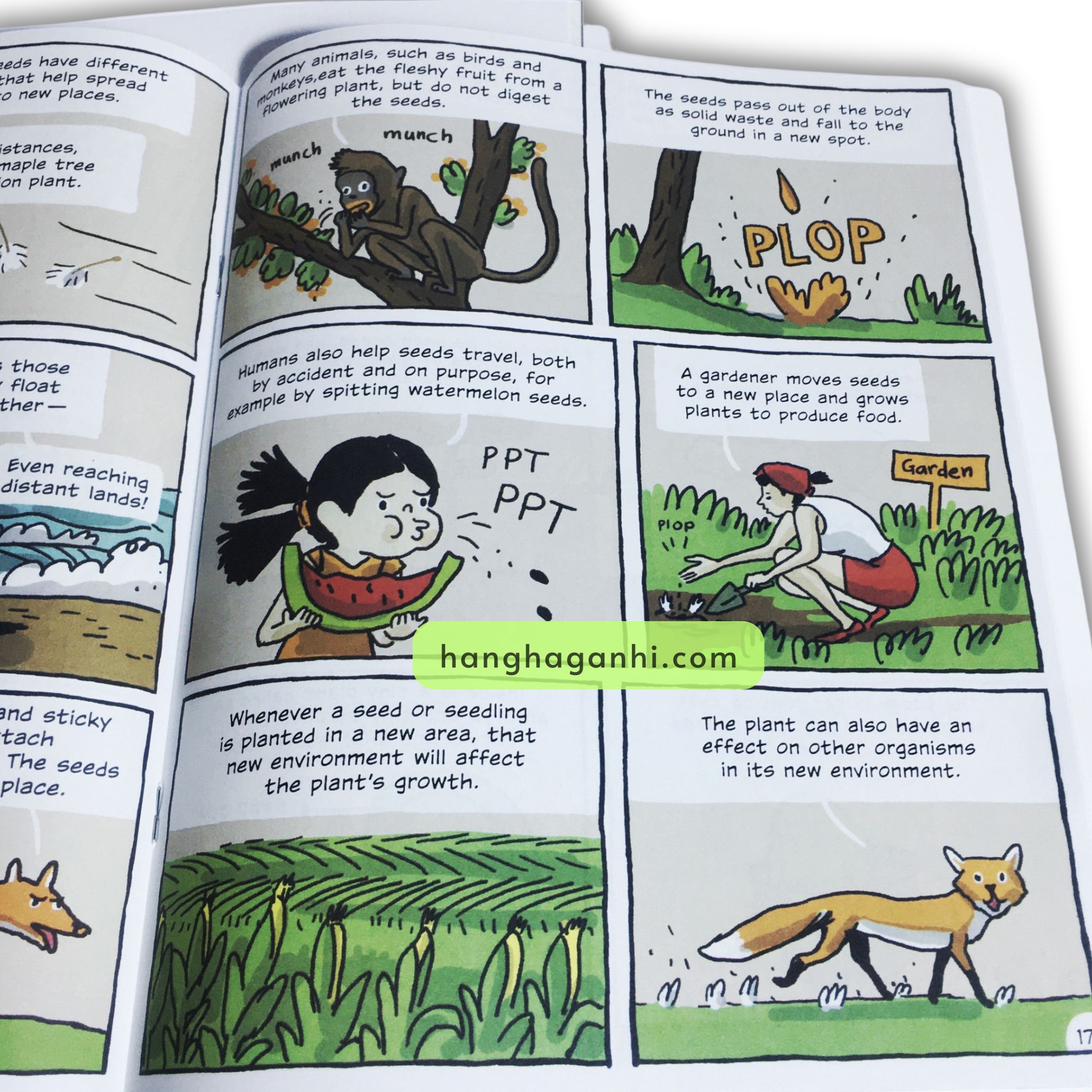 Building Block Science Bộ 32 cuốn Sách Nhập Khẩu kèm file nghe_thumbnail_14