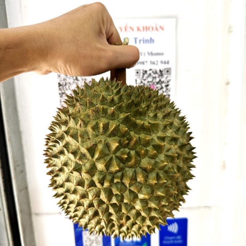 Sầu Riêng Ông Phú