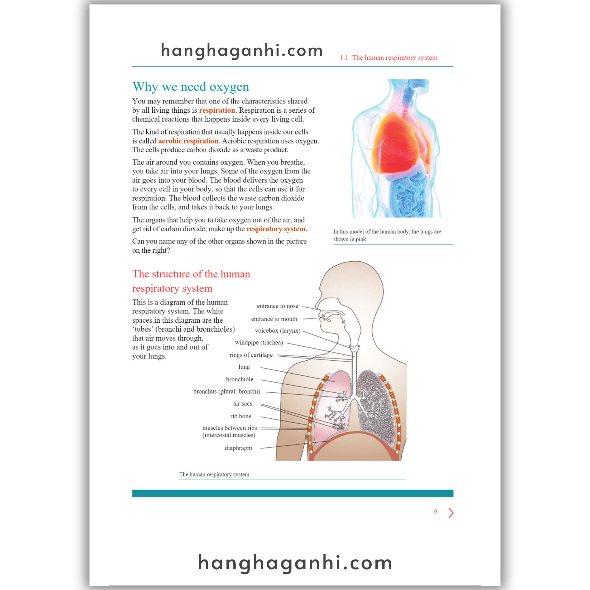 Cambridge Level 8 Lower Seconday Science Learner’s Book and Workbook 2nd edition 2021_thumbnail_2