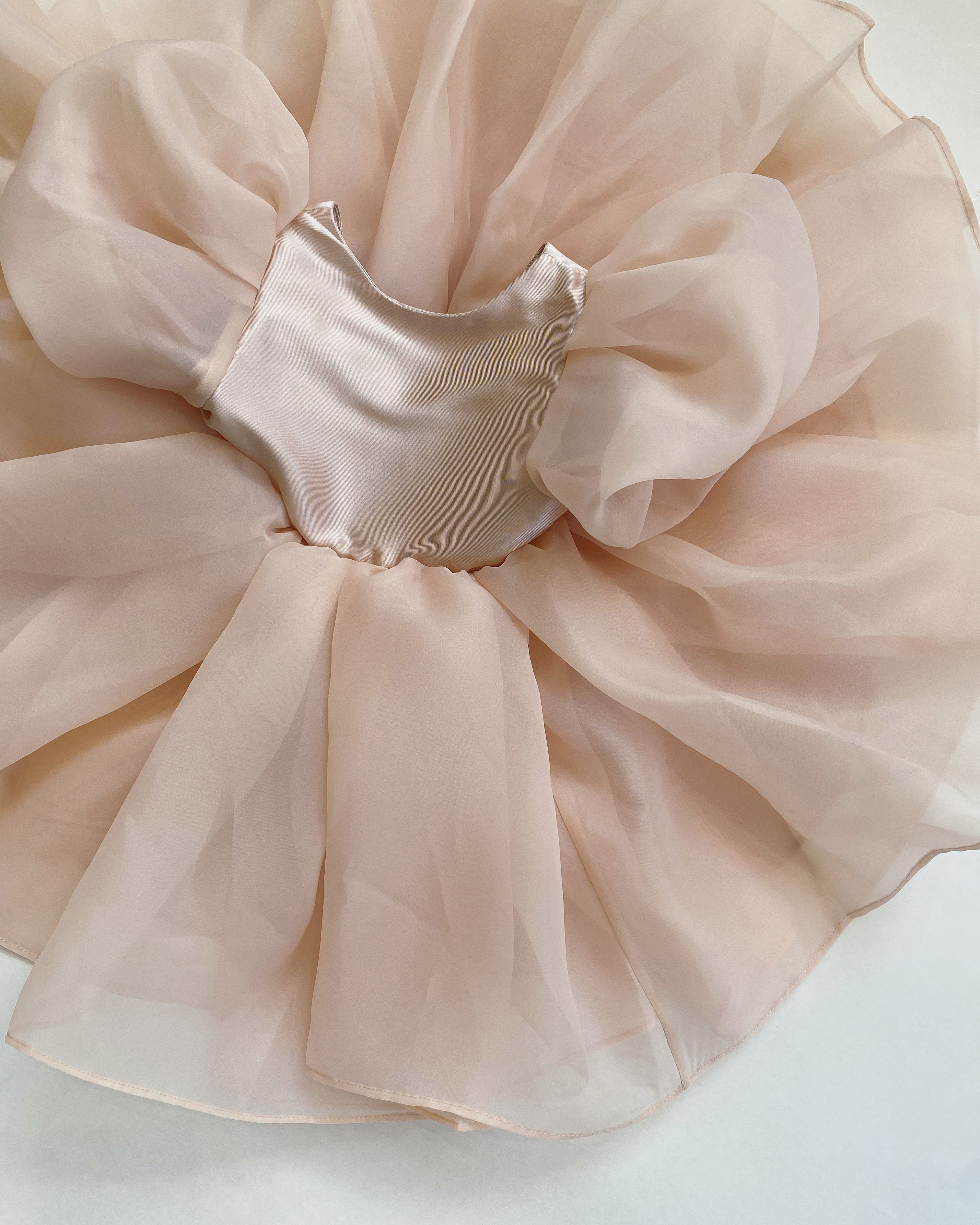 Alice Organza Dress_thumbnail_2