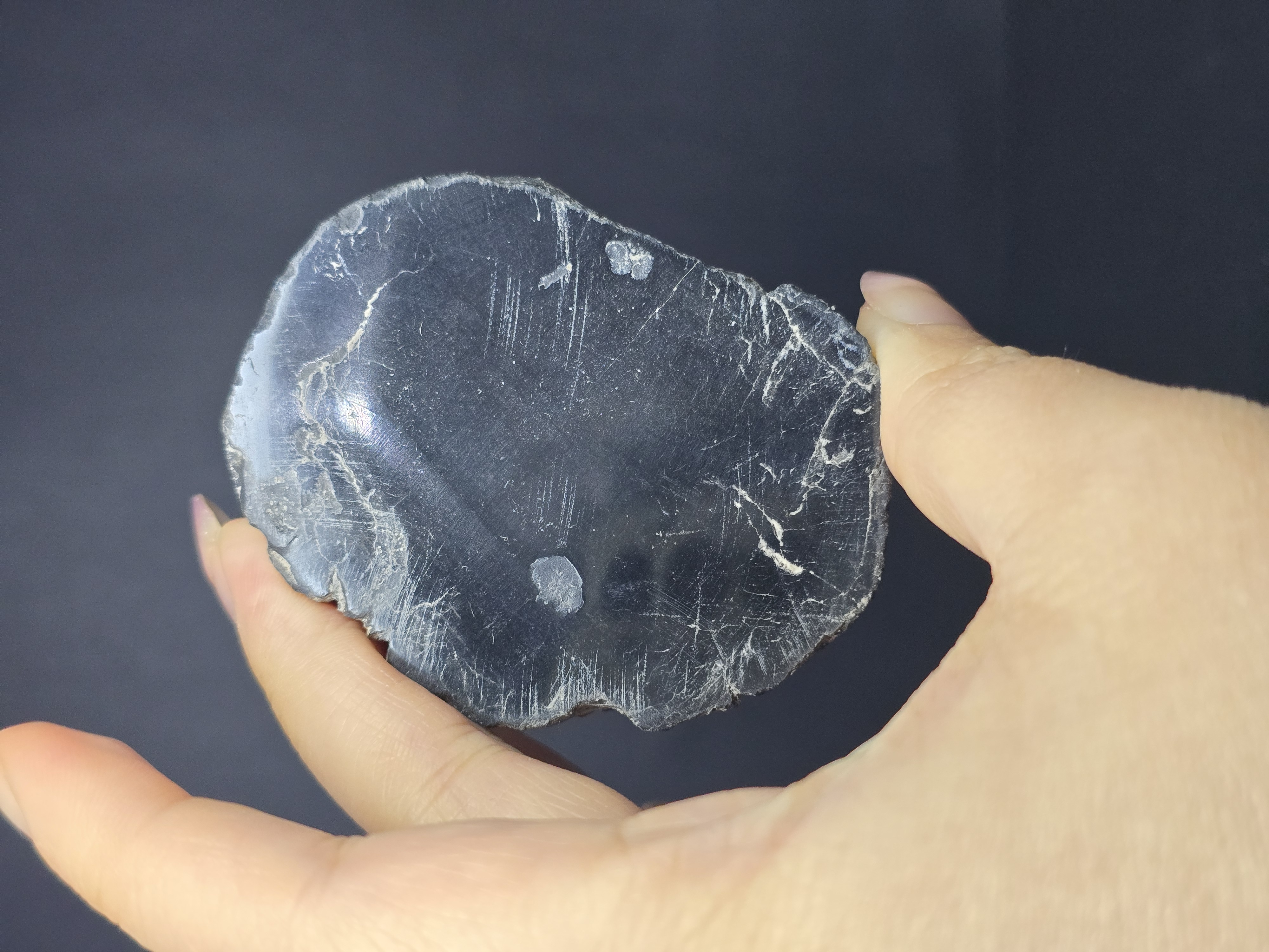 Gỗ Hóa Thạch Đã Được Mài Bóng 2 Mặt