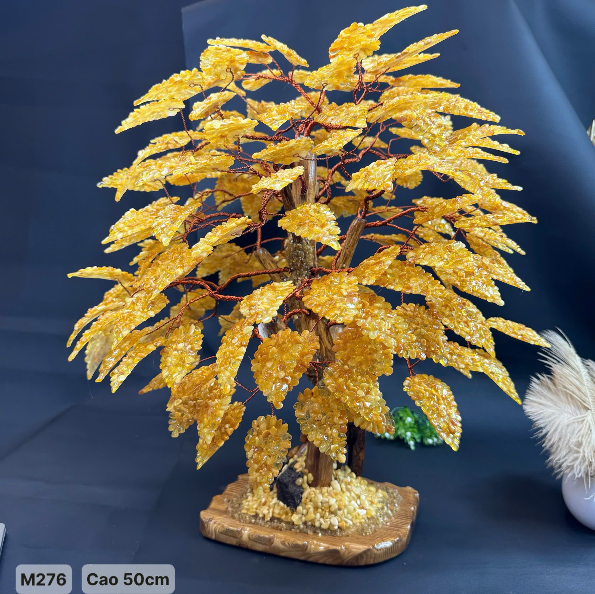 Cây Hổ Phách Cao 50cm  - M276