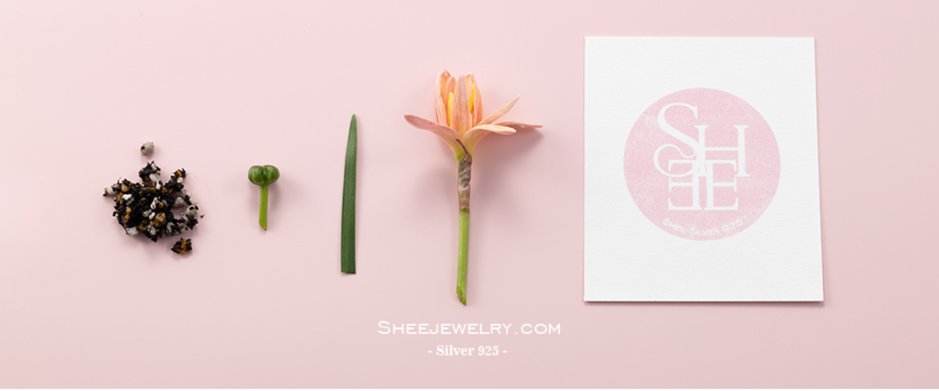 Untitled_design (13)