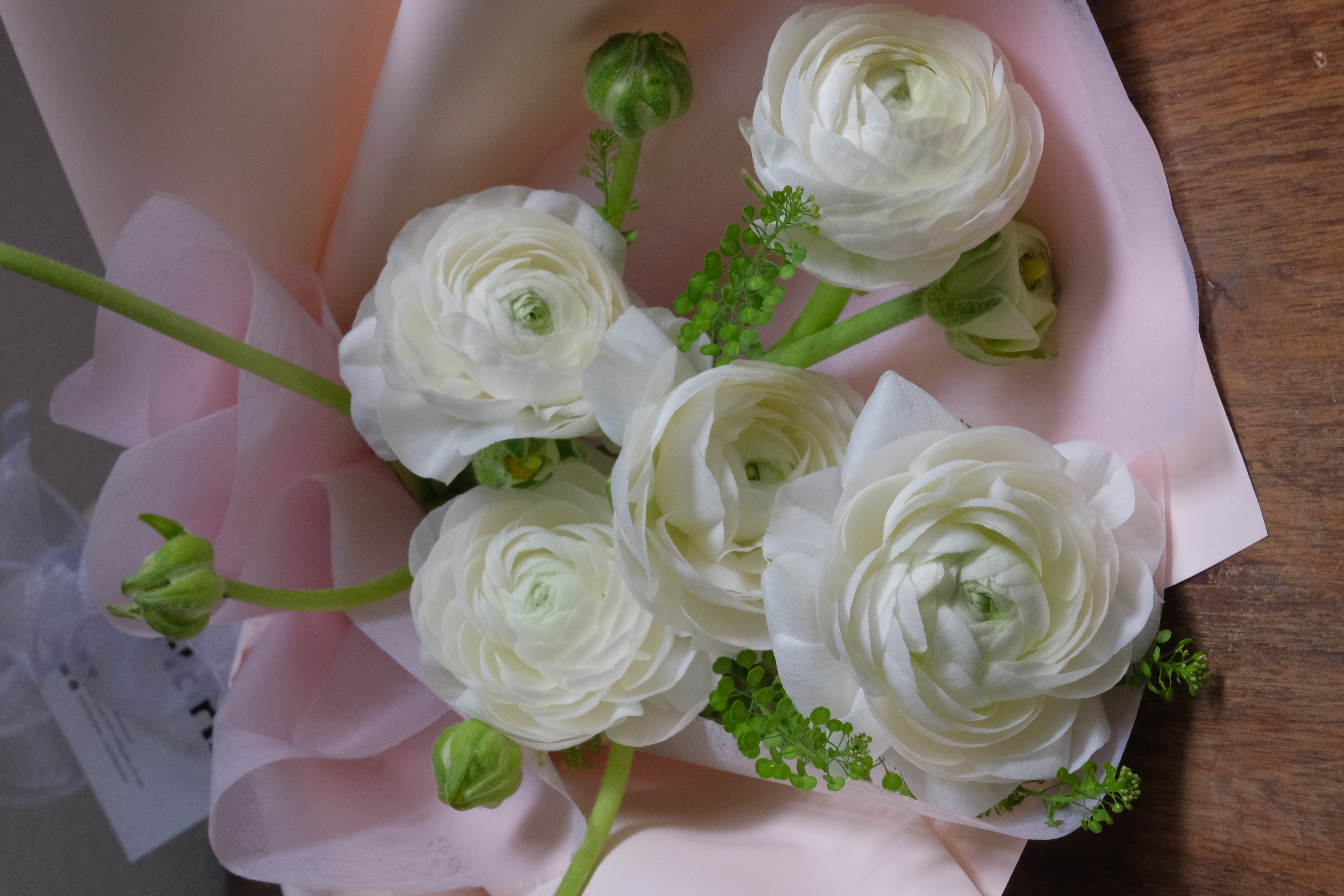 Bó mao lương trắng 5b