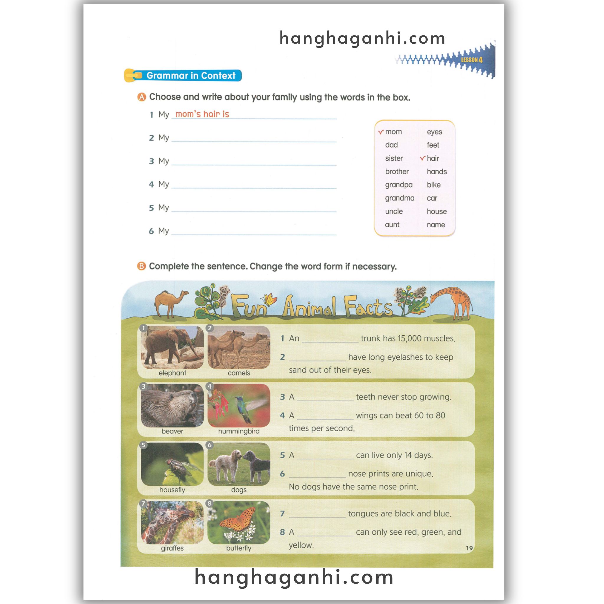 My Next Grammar 1 Student’s Book (2nd Edition)_thumbnail_19