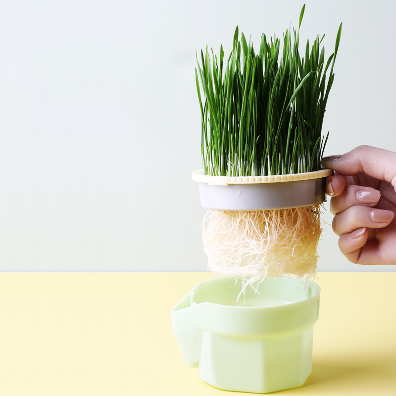 กล่องปลูกหญ้าแมวแบบสะดวกสบาย_thumbnail_2